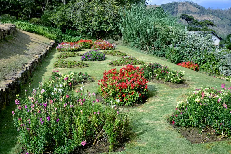 Hakgala Botanical Garden
